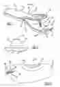 Fig. 02 - INTERMITTENT VECTORED DIGITAL MANIPULATION DEVICE AND METHOD