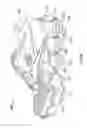Fig. 22 - Sole and article of footwear having a pod assembly