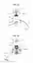 Fig. 08 - Stirring body and heating/stirring cooker