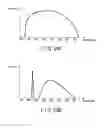 Fig. 14 - ENDOSCOPE APPARATUS