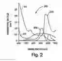 Fig. 03 - PROTOPORPHYRIN IX (PPIX) IMAGING