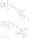 Fig. 08 - PROTOPORPHYRIN IX (PPIX) IMAGING