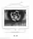 Fig. 29 - Full-eye illumination ocular surface imaging of an ocular tear film for determining tear film thickness and/or providing ocular topography