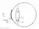 Fig. 01 - Measurement of intraocular pressure