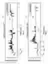 Fig. 08 - Localization systems and methods for an ingestible device