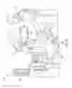 Fig. 09 - Systems, devices and methods for enhancing operative accuracy using inertial measurement units
