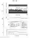 Fig. 09 - METHOD AND SYSTEM FOR DETECTING FREQUENCY DOMAIN CARDIAC INFORMATION BY USING PUPILLARY RESPONSE