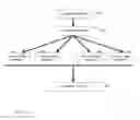 Fig. 07 - SYSTEM AND METHOD FOR THE ANALYSIS AND TRANSMISSION OF DATA, IMAGES AND VIDEO RELATING TO MAMMALIAN SKIN DAMAGE CONDITIONS