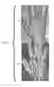Fig. 09 - SYSTEM AND METHOD FOR THE ANALYSIS AND TRANSMISSION OF DATA, IMAGES AND VIDEO RELATING TO MAMMALIAN SKIN DAMAGE CONDITIONS