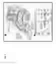 Fig. 02 - WEARABLE DEVICE WITH INTEGRATED SENSORS