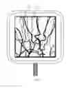 Fig. 08 - Portable multispectral imaging device and method of reducing interference of displayed images thereof