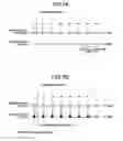 Fig. 08 - X-ray diagnostic apparatus, image processing apparatus, and image processing method