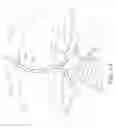 Fig. 22 - Device and methods for use in robotic assisted surgery for treatment of obstructive sleep apnea