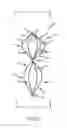 Fig. 06 - Vascular remodeling device