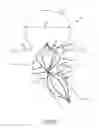 Fig. 09 - Vascular remodeling device