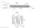 Fig. 02 - Spinal fixation systems