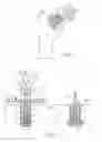 Fig. 02 - Device for producing an anchorage in human or animal tissue
