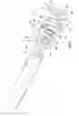 Fig. 04 - Input device assemblies for robotic surgical systems