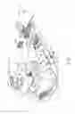 Fig. 02 - BREAST SUPPORT COMPRESSION PILLOW