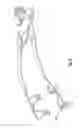 Fig. 05 - Apparatus for illuminating an eye