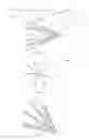Fig. 63 - VASCULAR FILTER DEVICE