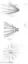 Fig. 64 - VASCULAR FILTER DEVICE