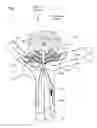Fig. 02 - BLOOD FLOW DIVERSION DEVICE