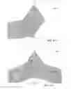 Fig. 10 - Anisotropic biocompatible lattice structure