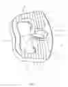 Fig. 02 - Intervertebral spacers and related methods and instruments