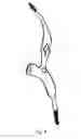 Fig. 07 - Cuff for orthotic treatment