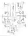 Fig. 05 - Liquid optical interface for laser eye surgery system