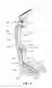 Fig. 06 - Body massaging apparatus