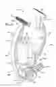 Fig. 16 - Body massaging apparatus