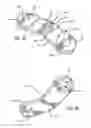 Fig. 19 - Body massaging apparatus