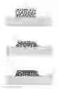 Fig. 01 - Single layer tooth whitening system