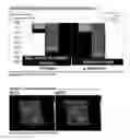 Fig. 08 - METHOD AND COMPOSITION FOR A SACHA INCHI PERENNIAL PLANT EXTRACT BASED HEALTH AND BEAUTY AID