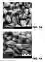 Fig. 02 - IMMEDIATE RELEASE, ABUSE DETERRENT PHARMACEUTICAL COMPOSITIONS