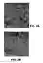 Fig. 04 - IMMEDIATE RELEASE, ABUSE DETERRENT PHARMACEUTICAL COMPOSITIONS