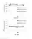 Fig. 49 - Compositions and methods for ophthalmic and/or other applications