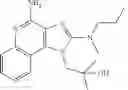Fig. 04 - Irradiated biodegradable polymer microparticles