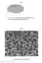 Fig. 02 - Pharmaceutically effective composition for controlled drug delivery