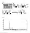 Fig. 07 - COMPOSITIONS AND METHODS THAT INHIBIT QUORUM SENSING
