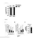 Fig. 11 - COMPOSITIONS AND METHODS THAT INHIBIT QUORUM SENSING