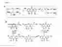 Fig. 14 - COMPOSITIONS AND METHODS THAT INHIBIT QUORUM SENSING
