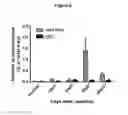 Fig. 06 - INHIBITORS OF PLASMINOGEN FOR TREATING, REDUCING OR PREVENTING RADIATION-INDUCED INJURIES