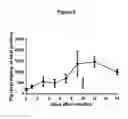 Fig. 07 - INHIBITORS OF PLASMINOGEN FOR TREATING, REDUCING OR PREVENTING RADIATION-INDUCED INJURIES