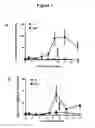 Fig. 08 - INHIBITORS OF PLASMINOGEN FOR TREATING, REDUCING OR PREVENTING RADIATION-INDUCED INJURIES