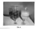 Fig. 03 - Fish egg extracts, omega-3 lipid-based compositions and uses thereof
