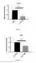 Fig. 03 - Retinoid compositions and methods of increasing immune cell-mediated killing of IDH mutant cancer cells