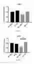 Fig. 08 - Retinoid compositions and methods of increasing immune cell-mediated killing of IDH mutant cancer cells